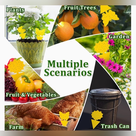 Pest sticky traps - Picture 2 of 6